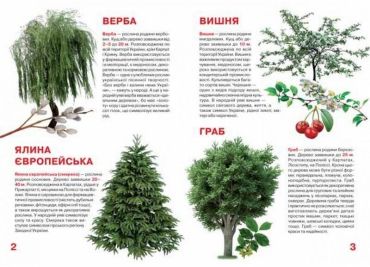 Велика книжка. Рослинний світ України - фото 2