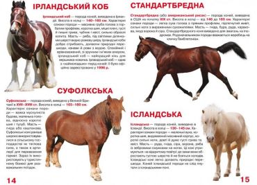 Велика книжка. Коні і поні - фото 3