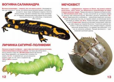 Велика книжка. Рекорди тваринного світу - фото 3