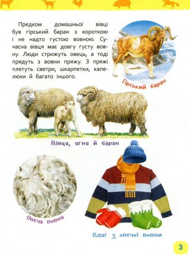 Тварини ферми. Моя перша енциклопедія - фото 3