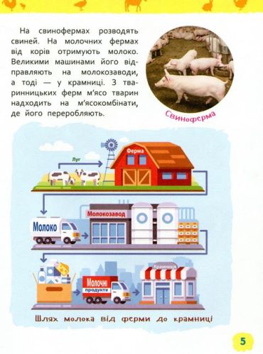 Тварини ферми. Моя перша енциклопедія - фото 5