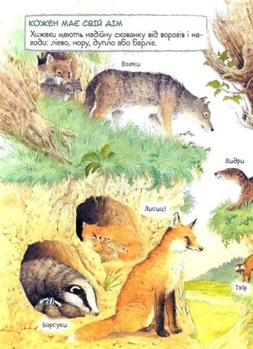 Мами та малюки. Дивовижний світ тварин - фото 3