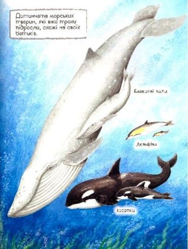 Мами та малюки. Дивовижний світ тварин - фото 4