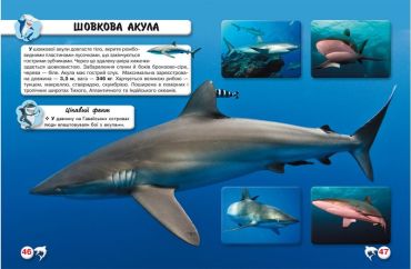 Світ навколо нас. Акули - фото 3