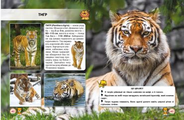 Світ навколо нас. Великі кішки - фото 3