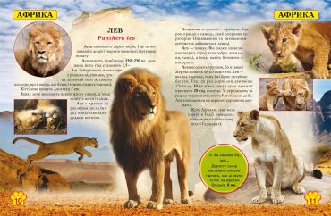 Світ навколо нас. Дикі тварини - фото 2