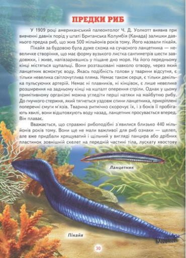 Енциклопедія для чомучок. Книга 3 - фото 4