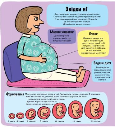 Маленькі дослідники. Моє дивовижне тіло - фото 2