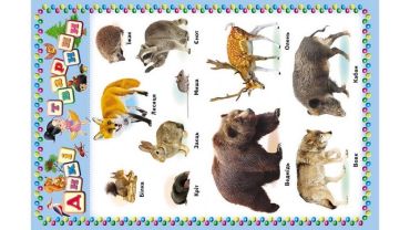 Моя перша книга (червона): абетка, лічба, тварини, професії, кольори, фігури, овочі, фрукти (картонні сторінки, формат А4, подарункове видання) - фото 3