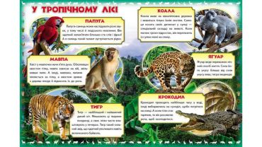 Моя перша книга. Про диких тварин (картонні сторінки, формат А4, подарункове видання) - фото 2