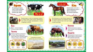 Моя перша книга. Про свійських тварин (картонні сторінки, формат А4, подарункове видання) - фото 2