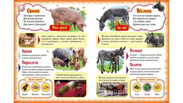Моя перша книга. Про свійських тварин (картонні сторінки, формат А4, подарункове видання) - фото 3