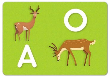 Школа Кенгуру. Ранній розвиток. Картки