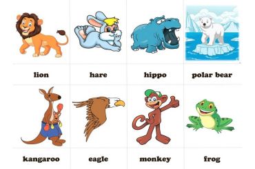 Англійська суперрозмальовка з веселими завданнями та картковими іграми. Дикі тварини - фото 4