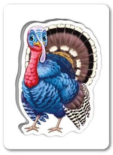 На подвірї. Пізнаємо з народження - фото 3