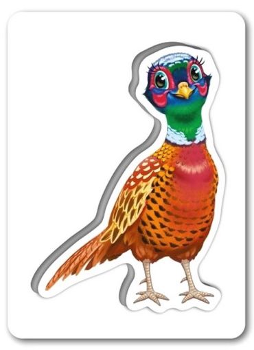 На подвірї. Пізнаємо з народження - фото 5