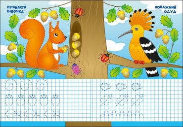 Пиши-стирай. Лісові прописи - фото 2