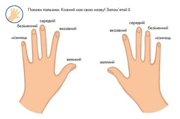 Багаторазові прописи. Тренажер для рук - фото 3