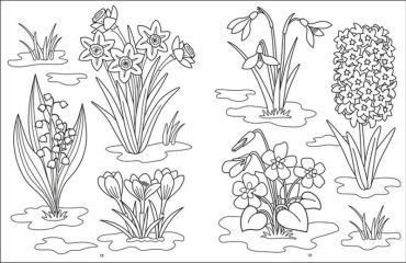 АРТ розфарбовка. Пори року - фото 4