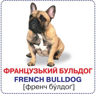 Розумні картки. Собаки - фото 2