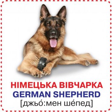 Розумні картки. Собаки - фото 3