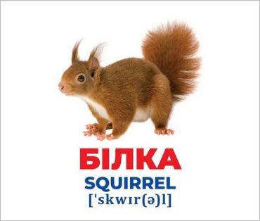 Геній з пелюшок. Тварини України. Демонстраційний матеріал - фото 3