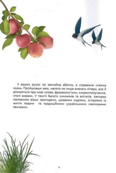 Стежкою знань до вершини пізнань. Абетка - фото 3