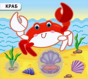 Плаваю та пірнаю - фото 5