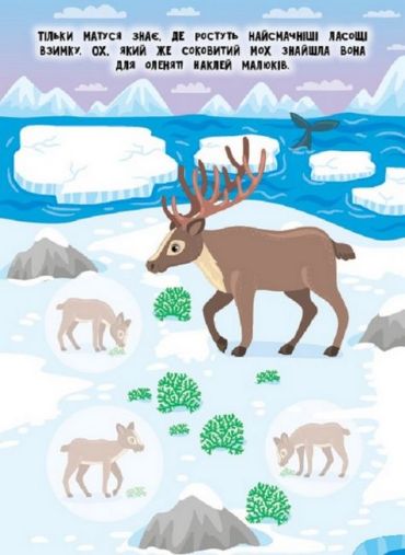 Мами й малюки. Північний полюс - фото 2