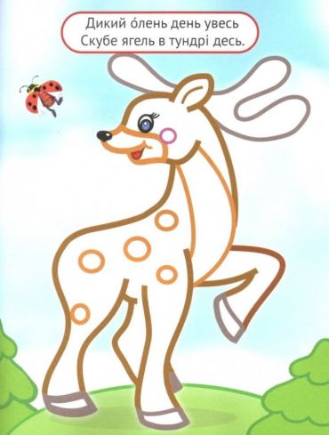 Упізнай і розфарбуй. Лисиця та єнот - фото 4