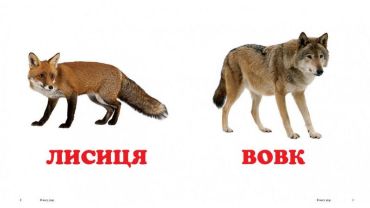 У лісі - фото 2