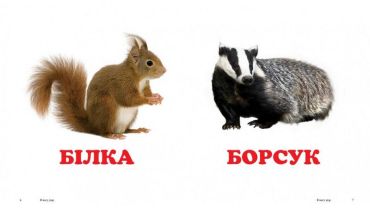 У лісі - фото 3