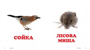 У лісі - фото 4