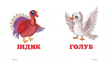 Птахи - фото 2