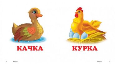 Птахи - фото 3