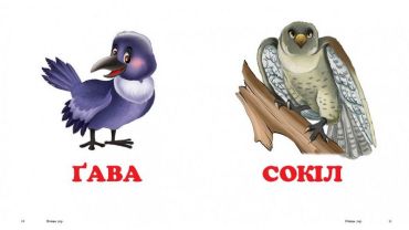 Птахи - фото 4