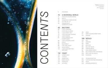 The Fermentation Kitchen - фото 2