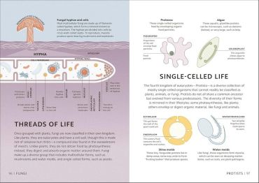 Simply Science - фото 9