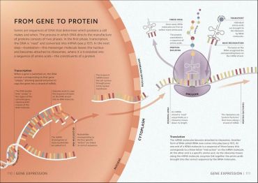 Simply Science - фото 10