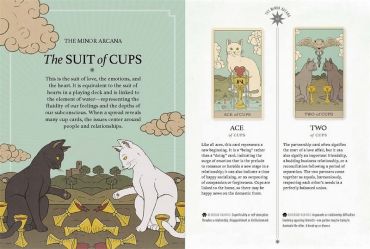 Cats Rule the Earth Tarot - фото 3