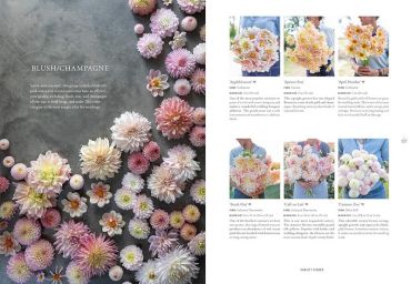 Floret Farms Discovering Dahlias - фото 8