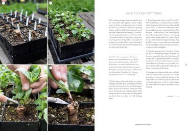 Floret Farms Discovering Dahlias - фото 9