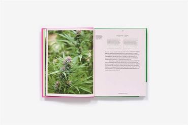 Growing Weed in the Garden: A No-Fuss, Seed-to-Stash Guide to Outdoor Cannabis Cultivation - фото 5