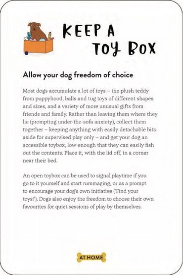 School For Dogs (and their humans). - фото 4