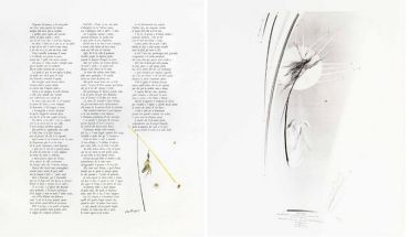 Cecco Bonanotte: Paradiso. La Divina Commedia (The Divine Comedy) - фото 5