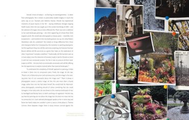 Clare Woods: As I Please. - фото 3