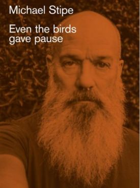 Michael Stipe: Even the birds gave pause. - Образотворче мистецтво