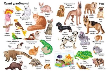 Перші слова. Тварини + англійска - фото 3