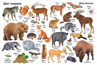 Перші слова. Тварини + англійска - фото 4