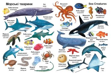 Перші слова. Тварини + англійска - фото 5